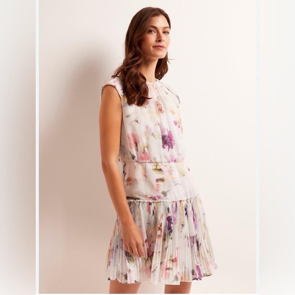 Ted Baker London Floral Pleated Drop Waist Dress Designer Size 4 Romantic Pastel